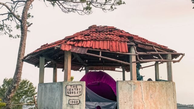 WhatsApp Image 2025-07-17 at 09.25.43 (1)