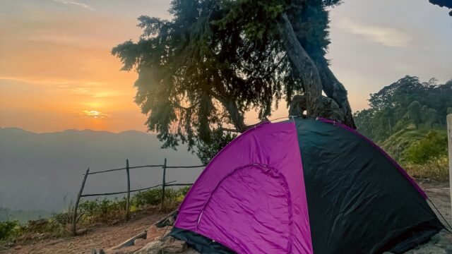 WhatsApp Image 2025-07-17 at 09.25.44