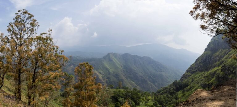 Camping in Ella Sri Lanka