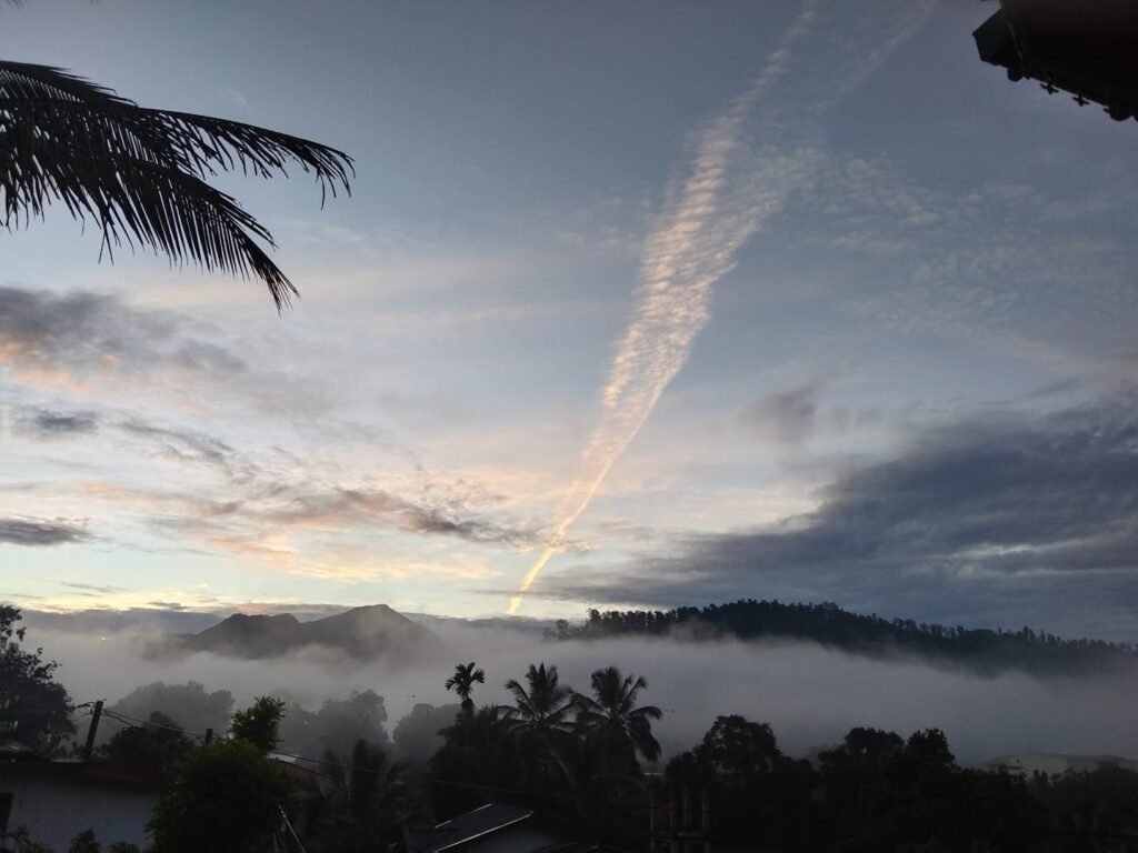 473557152_1133928225186028_5249647900311295624_n