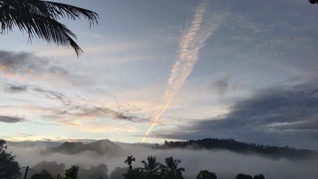 473557152_1133928225186028_5249647900311295624_n