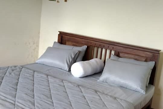 481829701_1171302228115294_3622188312545070122_n