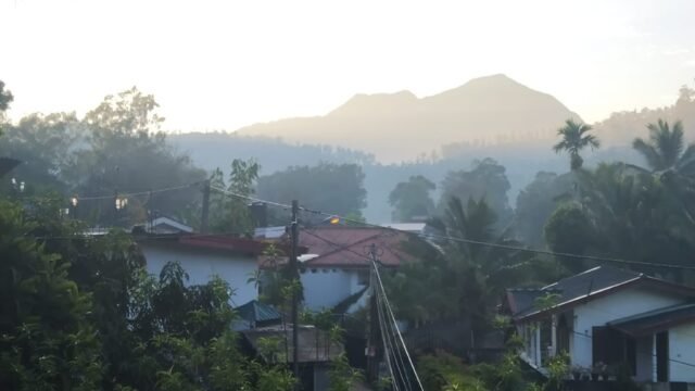 487241533_1189694602942723_8251555737950910418_n