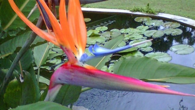 WhatsApp Image 2026-04-08 at 16.53.49