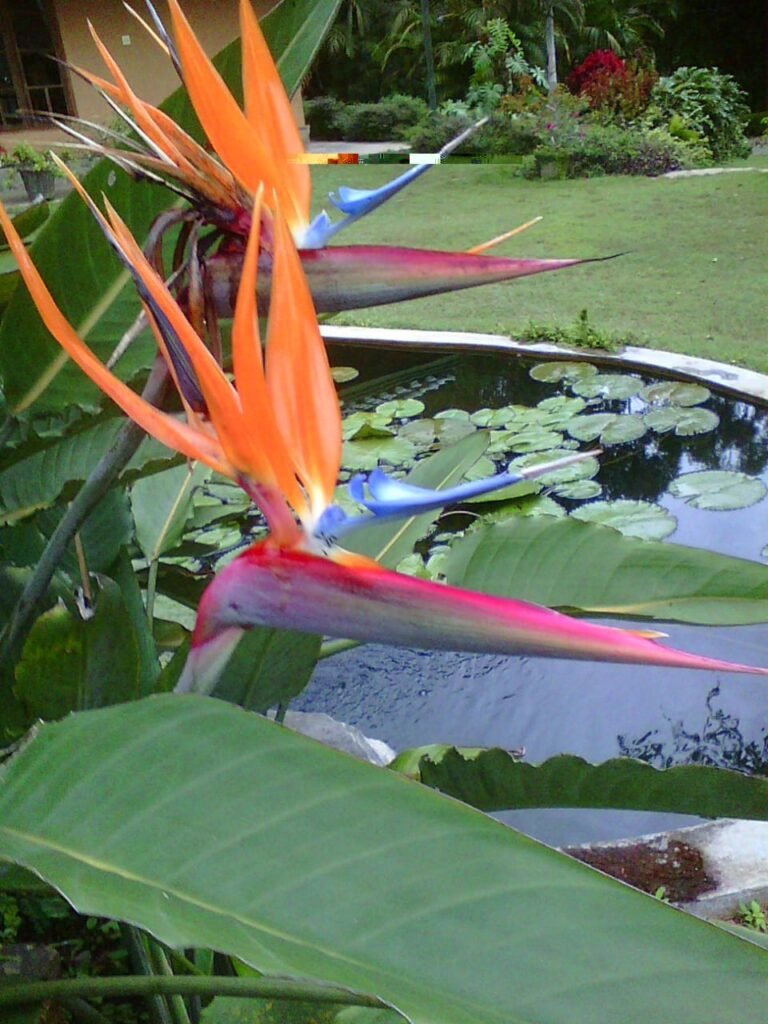 WhatsApp Image 2026-04-08 at 16.53.49