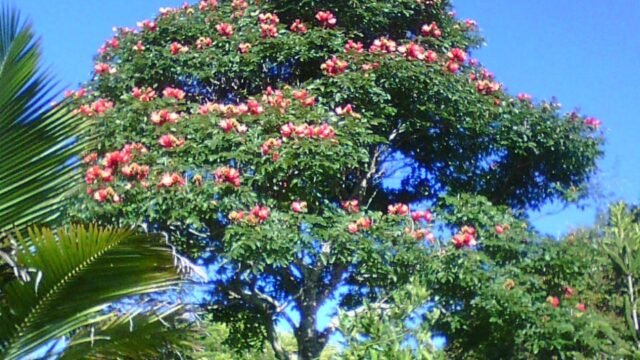 WhatsApp Image 2026-04-08 at 16.53.50