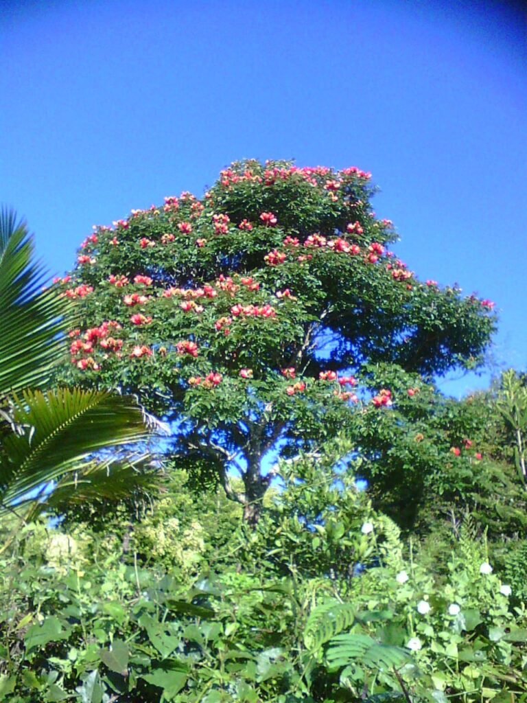 WhatsApp Image 2026-04-08 at 16.53.50