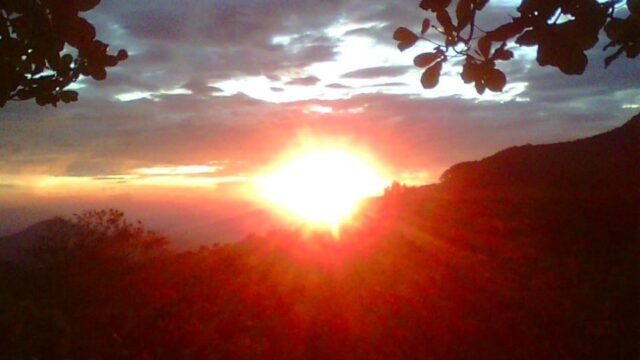 WhatsApp Image 2026-04-08 at 16.53.51