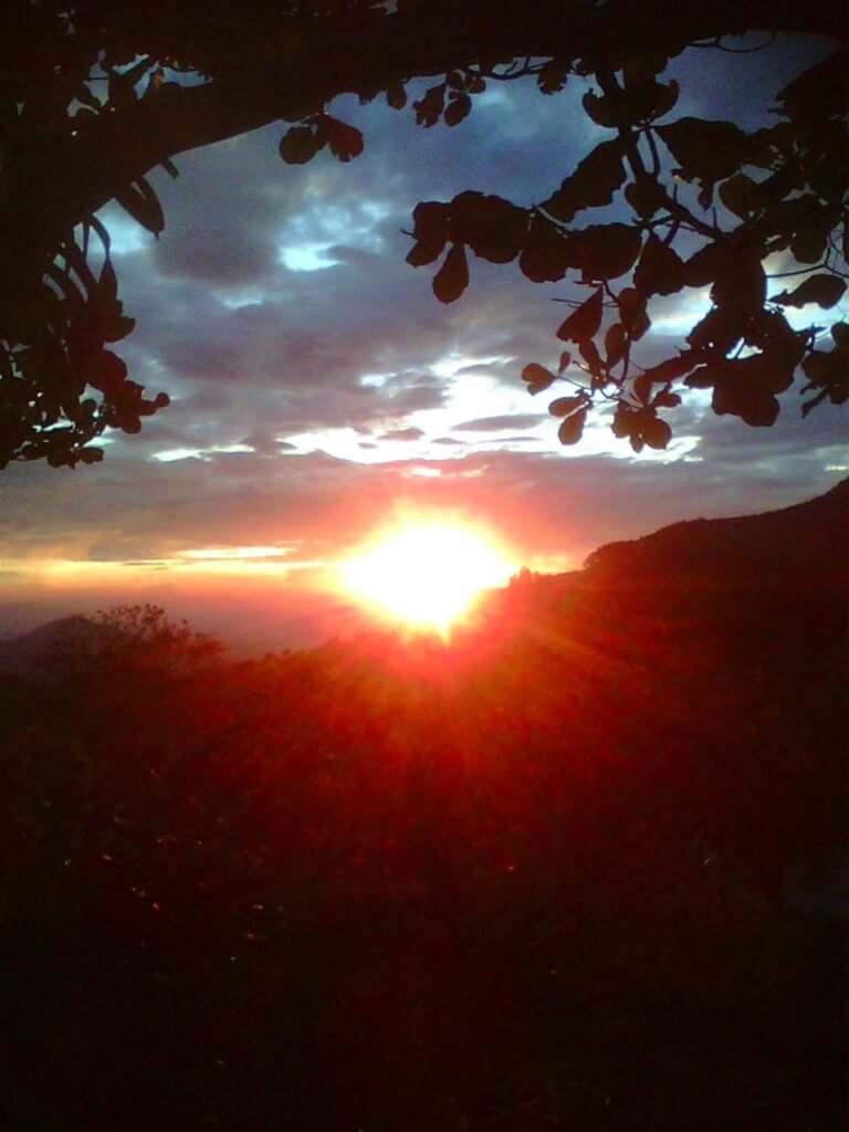 WhatsApp Image 2026-04-08 at 16.53.51