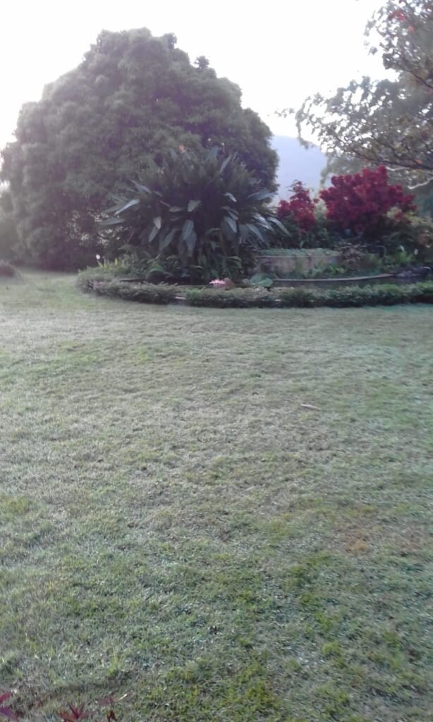 WhatsApp Image 2026-04-08 at 16.53.54