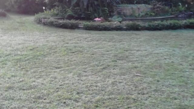 WhatsApp Image 2026-04-08 at 16.53.54