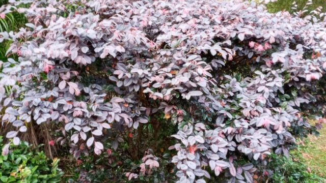 WhatsApp Image 2026-04-08 at 16.54.00