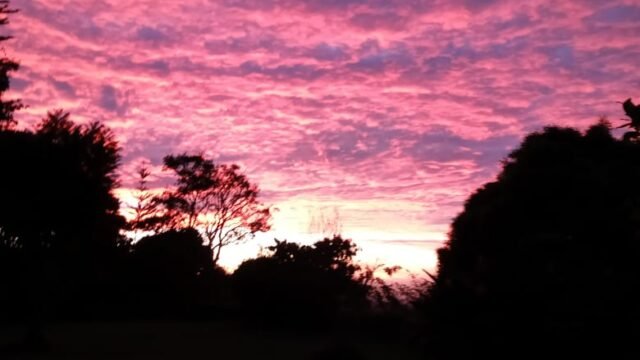 WhatsApp Image 2026-04-08 at 16.54.02