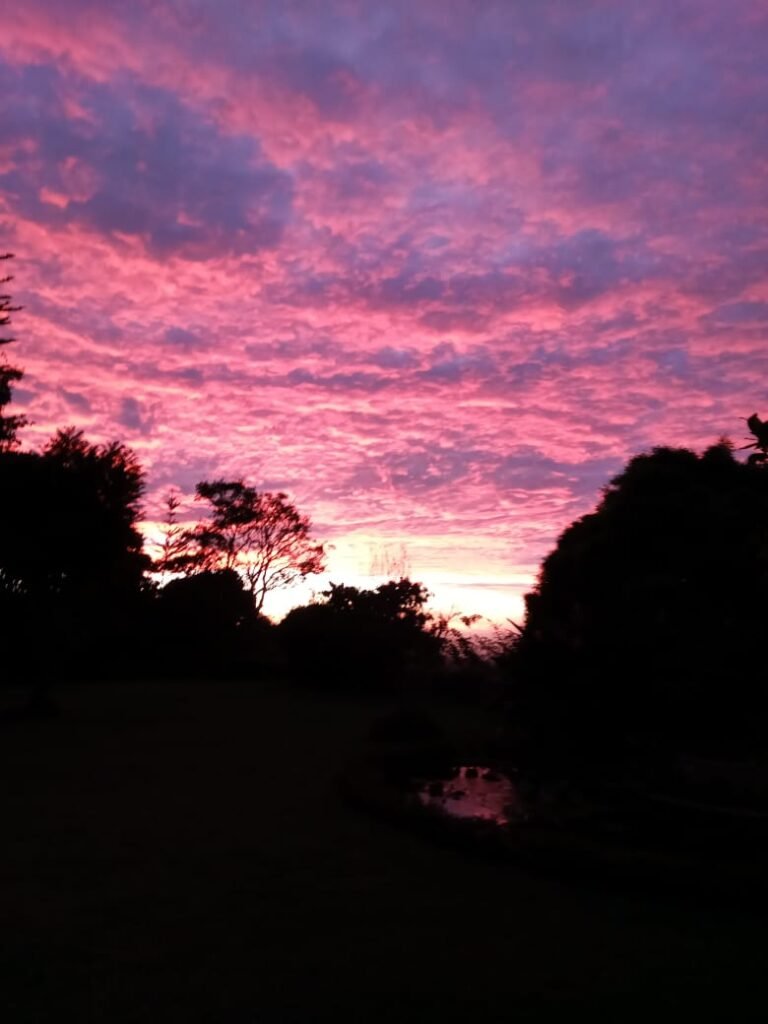 WhatsApp Image 2026-04-08 at 16.54.02