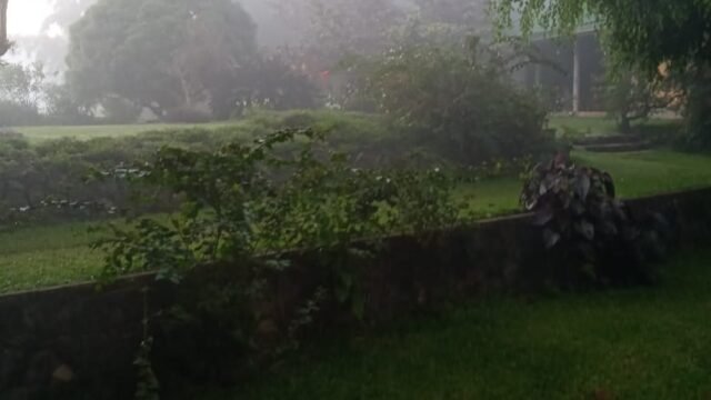 WhatsApp Image 2026-04-08 at 16.54.03