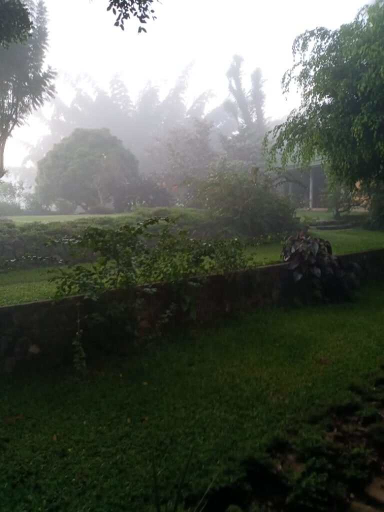 WhatsApp Image 2026-04-08 at 16.54.03