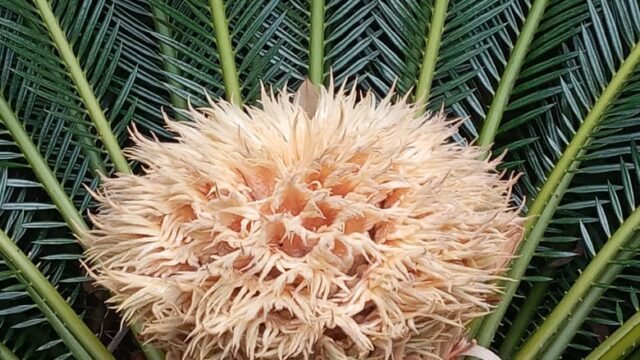 WhatsApp Image 2026-04-08 at 16.54.06