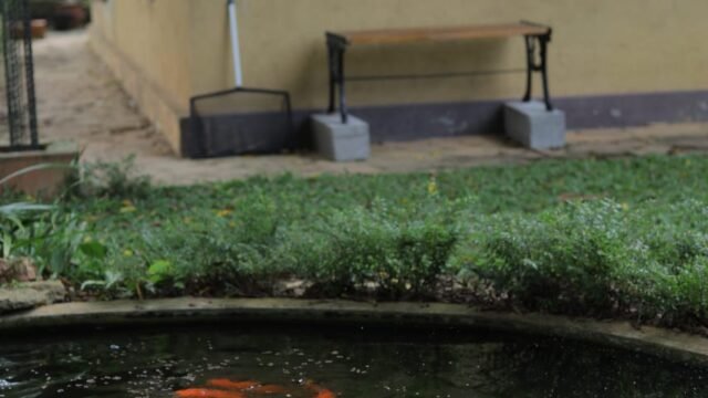 WhatsApp Image 2026-04-08 at 17.05.41