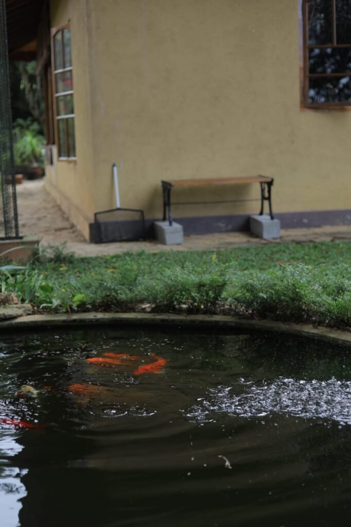 WhatsApp Image 2026-04-08 at 17.05.41