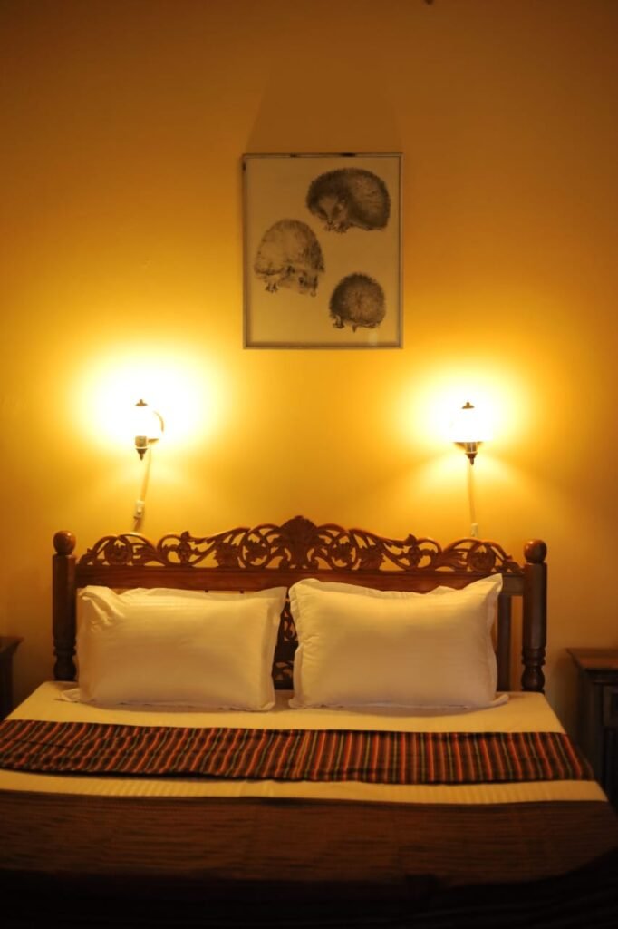 WhatsApp Image 2026-04-08 at 17.05.48