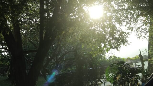 WhatsApp Image 2026-04-08 at 17.06.02