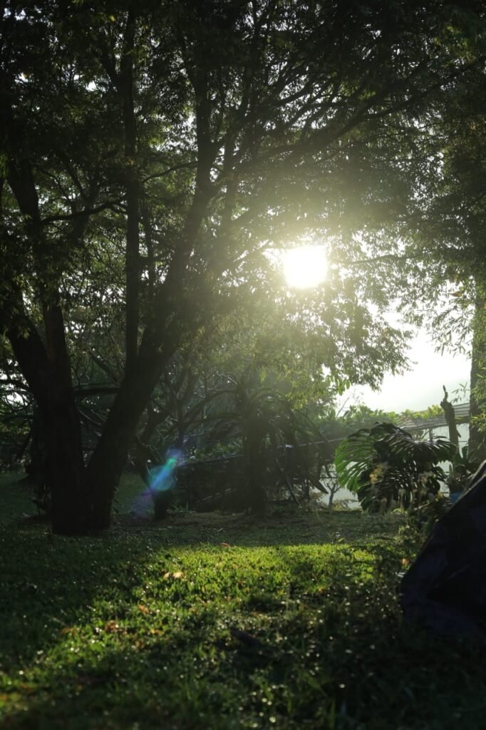 WhatsApp Image 2026-04-08 at 17.06.02