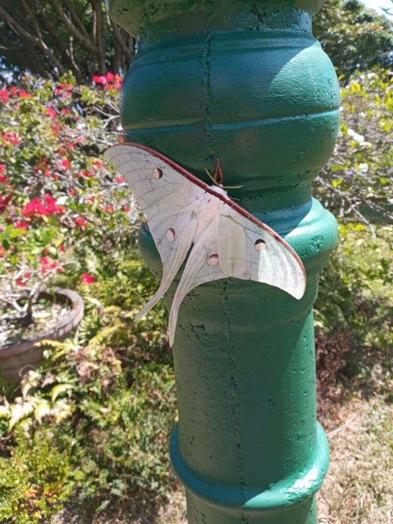 WhatsApp Image 2026-04-08 at 17.06.04