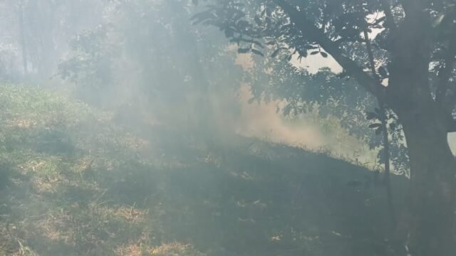 WhatsApp Image 2026-04-08 at 17.06.08