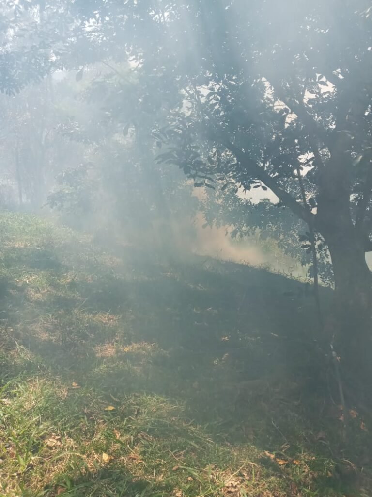 WhatsApp Image 2026-04-08 at 17.06.08