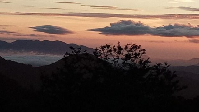 WhatsApp Image 2026-04-08 at 17.06.14