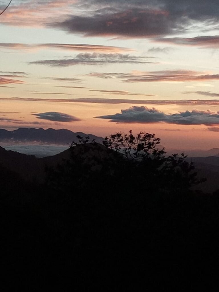 WhatsApp Image 2026-04-08 at 17.06.14