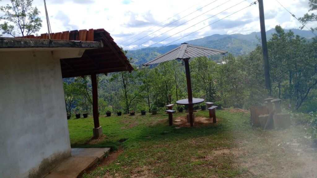 WhatsApp Image 2026-04-10 at 13.11.26 (1)