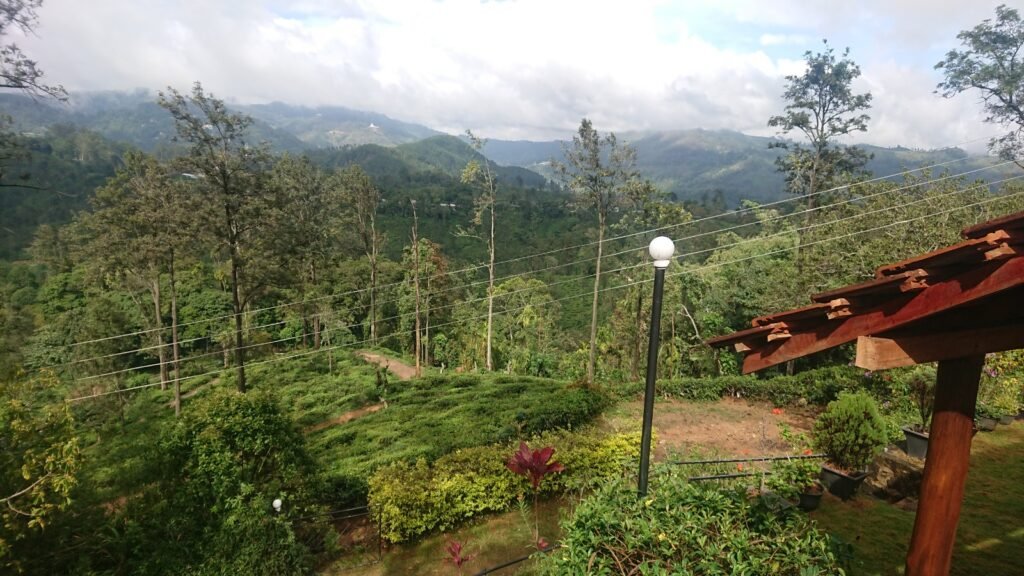 WhatsApp Image 2026-04-10 at 13.11.26 (6)