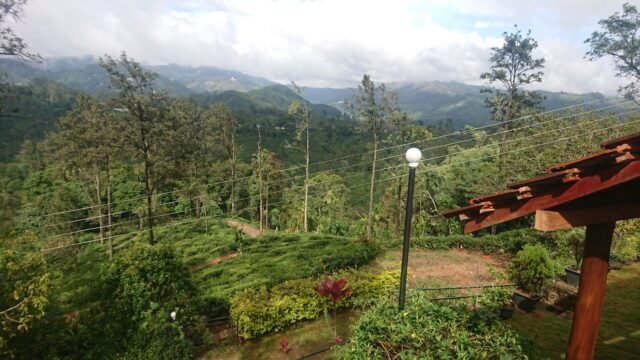 WhatsApp Image 2026-04-10 at 13.11.26 (6)